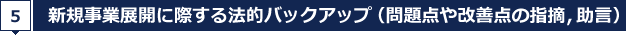 5.新規事業展開に際する法的バックアップ（問題点や改善点の指摘，助言）